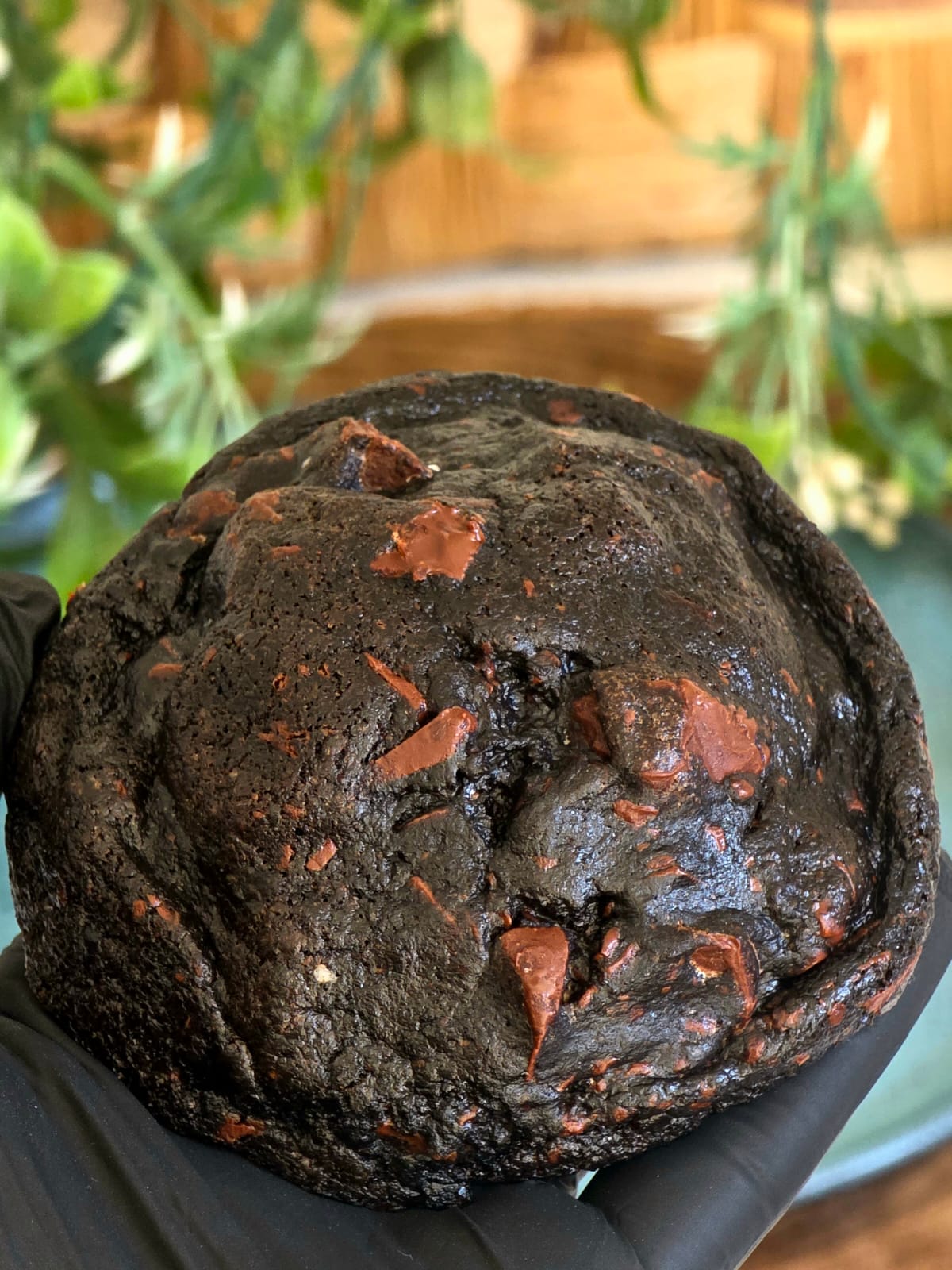 Floresta Negra
